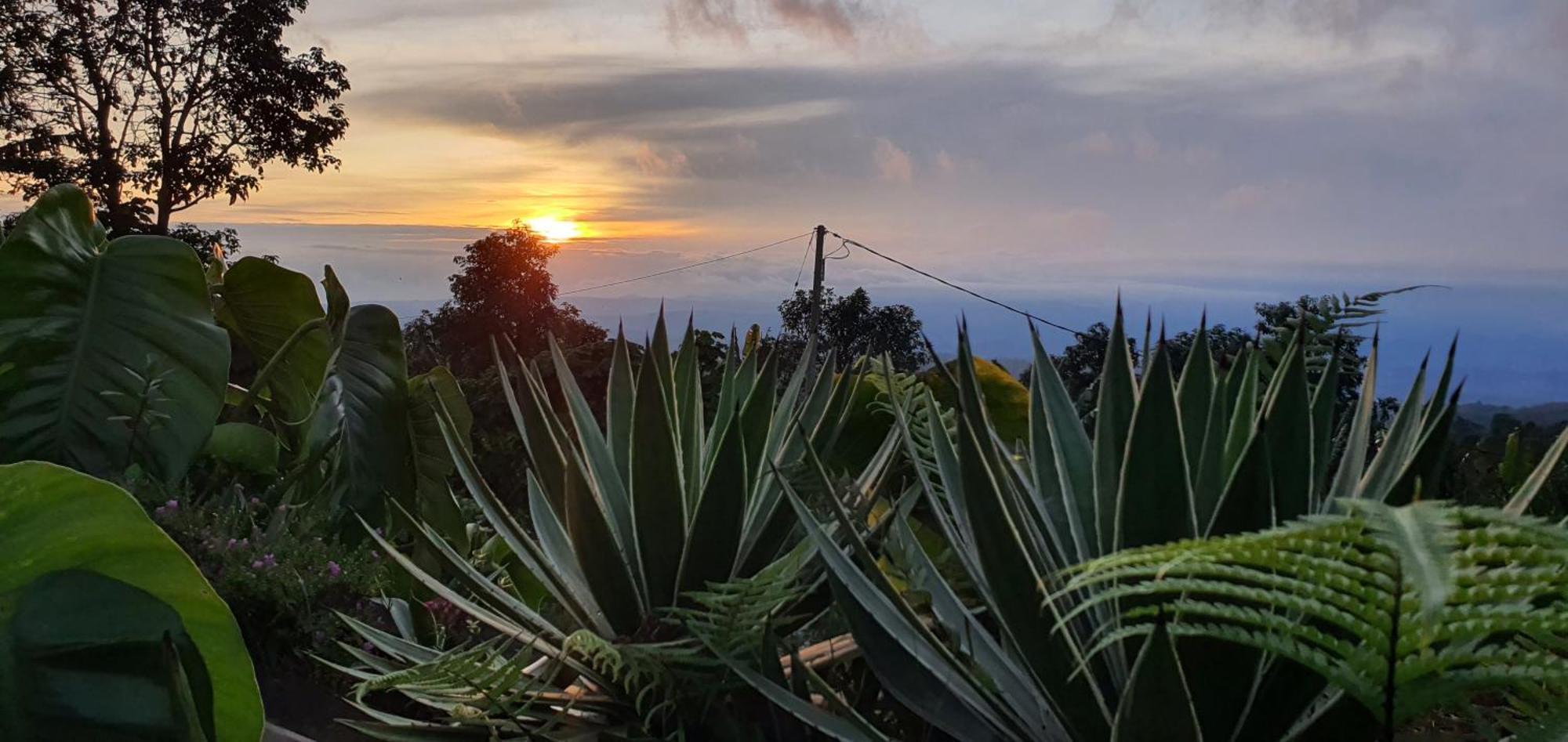Manigelang Villa Munduk Εξωτερικό φωτογραφία
